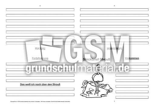 Strauß-Faltbuch-vierseitig-2.pdf